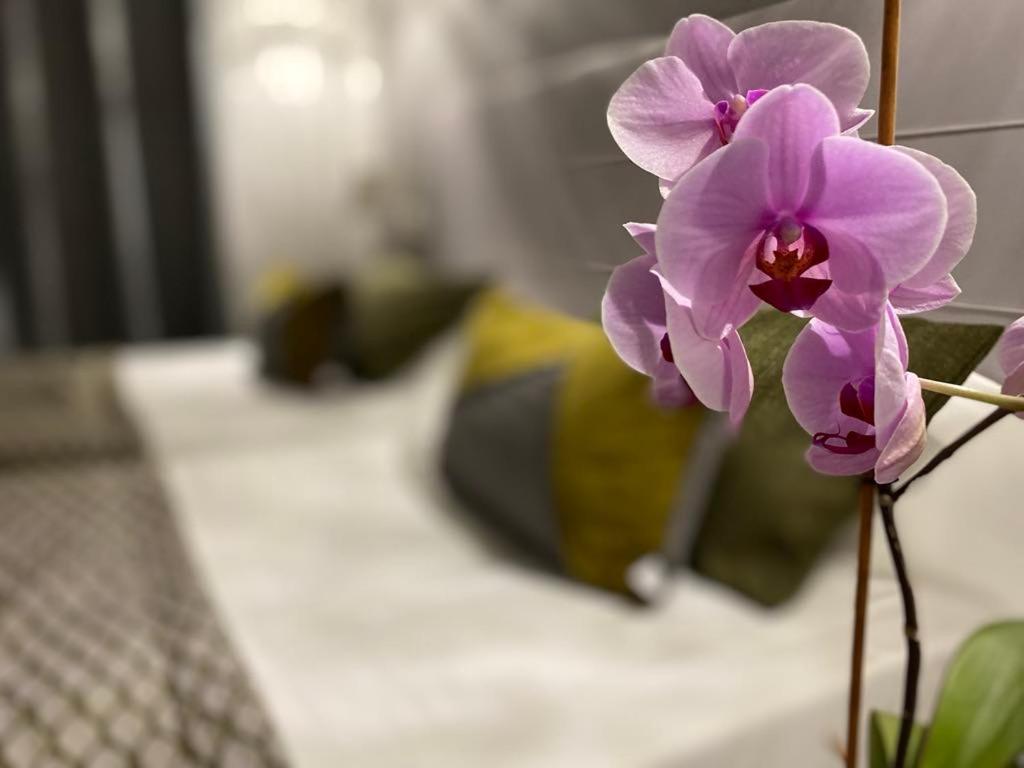 Brit Hotel Acacias Arles Luaran gambar